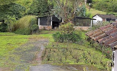 Finca Vía Pereira - Armenia