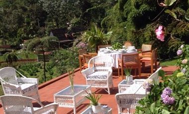 Finca Vía Pereira - Armenia