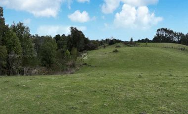 PARCELA CON VISTA A CORDILLERA, CERCANA A PUYEHUE