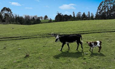 PARCELA CON VISTA A CORDILLERA, CERCANA A PUYEHUE