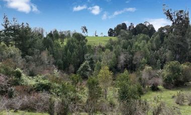 PARCELA CON VISTA A CORDILLERA, CERCANA A PUYEHUE