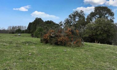 PARCELA CON VISTA A CORDILLERA, CERCANA A PUYEHUE