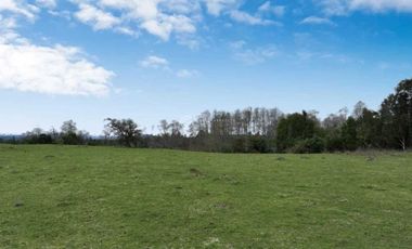 PARCELA CON VISTA A CORDILLERA, CERCANA A PUYEHUE