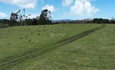 PARCELA CON VISTA A CORDILLERA, CERCANA A PUYEHUE