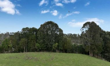 PARCELA CON VISTA A CORDILLERA, CERCANA A PUYEHUE