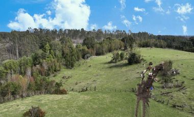 PARCELA CON VISTA A CORDILLERA, CERCANA A PUYEHUE