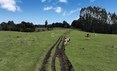 PARCELA CON VISTA A CORDILLERA, CERCANA A PUYEHUE