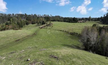 PARCELA CON VISTA A CORDILLERA, CERCANA A PUYEHUE