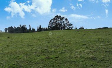 PARCELA CON VISTA A CORDILLERA, CERCANA A PUYEHUE