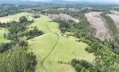PARCELA CON VISTA A CORDILLERA, CERCANA A PUYEHUE