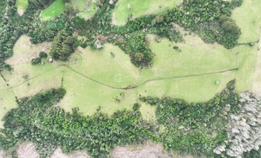 PARCELA CON VISTA A CORDILLERA, CERCANA A PUYEHUE
