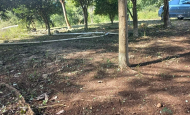 Terreno en venta ideal para desarrollo en venta sobre carretera Mérida - Cancun
