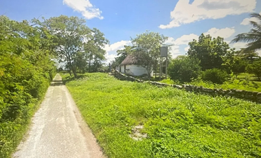 Terreno en venta ideal para desarrollo en venta sobre carretera Mérida - Cancun
