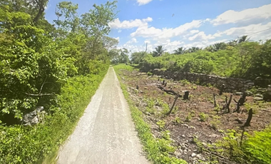 Terreno en venta ideal para desarrollo en venta sobre carretera Mérida - Cancun