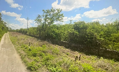 Terreno en venta ideal para desarrollo en venta sobre carretera Mérida - Cancun
