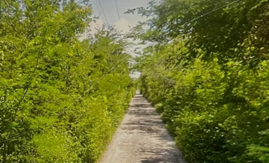 Terreno en venta ideal para desarrollo en venta sobre carretera Mérida - Cancun