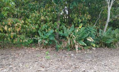 VENTA DE TERRENO EN VILLAHERMOSA TABASCO