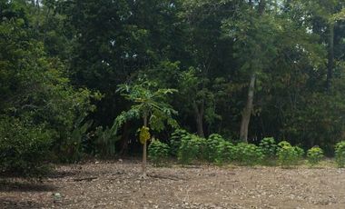 VENTA DE TERRENO EN VILLAHERMOSA TABASCO