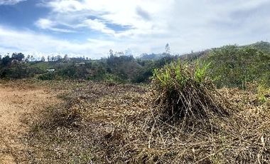 LOTE EN SAN VICENTE PARCELACION