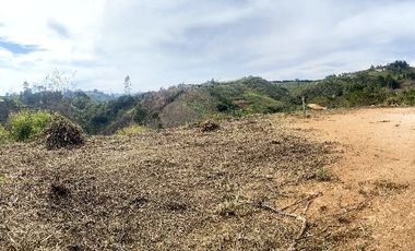 LOTE EN SAN VICENTE PARCELACION