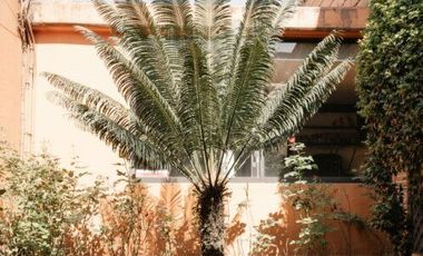 SE VENDE CASA EN JARDINES DEL PEDREGAL TRATO DIRECTO