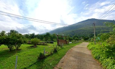 92979 - ขายที่ดิน ภบท. 5 พร้อมบ้านพักตากอากาศ ใกล้เขาใหญ่ อากาศดี วิวภูเขาล้อมรอบ