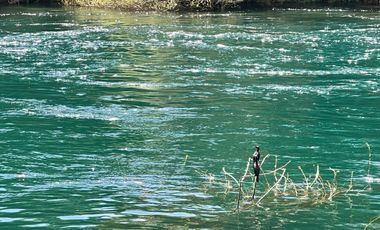 Exclusivo Departamento 3d 2b Ribera Rio Tolten