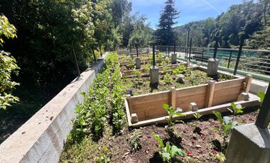 Exclusivo Departamento 3d 2b Ribera Rio Tolten