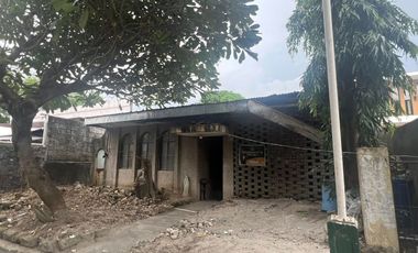LOT WITH OLD STRUCTURE FOR SALE IN BF HOMES PHASE 2