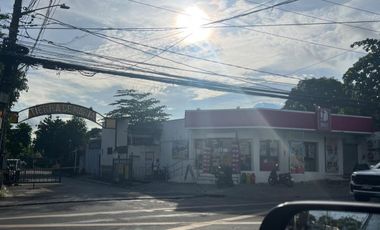 LOT WITH OLD STRUCTURE FOR SALE IN BF HOMES PHASE 2