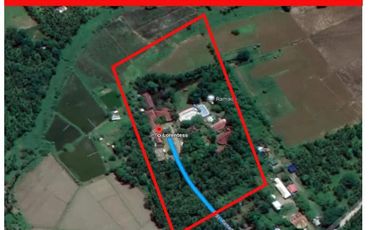 For Sale: 2.1HAS Hotel Resort in Province of Aurora