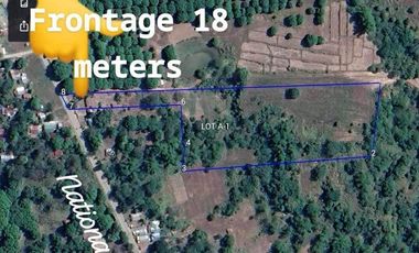 FOR SALE (Package Sale Only) 36 HECTARES MANGO & MAHOGANY FARM