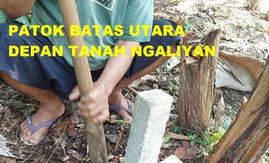 Tanah Ngaliyan Murah Butuh Uang
