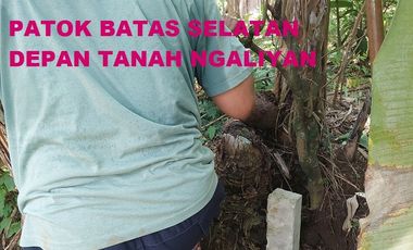 Tanah Ngaliyan Murah Butuh Uang
