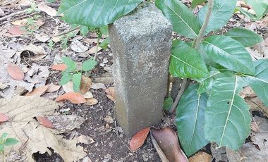 Tanah Ngaliyan Murah Butuh Uang