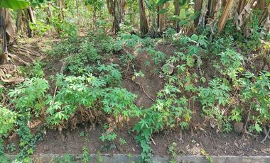 Tanah Ngaliyan Murah Butuh Uang