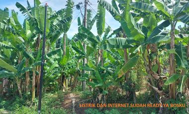 Tanah Ngaliyan Murah Butuh Uang