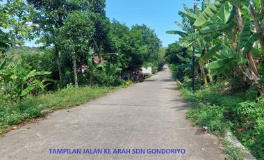 Tanah Ngaliyan Murah Butuh Uang