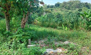 Tanah Ngaliyan Murah Butuh Uang