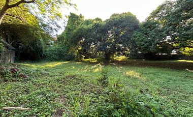 Residential Lot for sale in Maria Cristina Street, Ayala Alabang Village, Ayala Alabang, Muntinlupa District 2, Muntinlupa, Southern Manila District