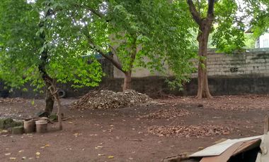 Parada Valenzuela City Lot for Sale 230 sqm