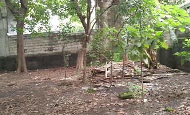 Parada Valenzuela City Lot for Sale 230 sqm