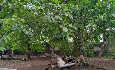 Parada Valenzuela City Lot for Sale 230 sqm