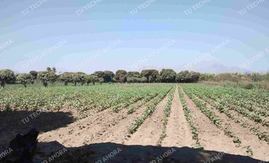 2000 HECTÁREAS EN VENTA - ICA, PERÚ