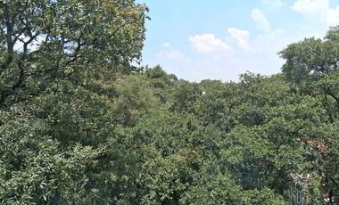 Casa en Venta Condado de Sayavedra