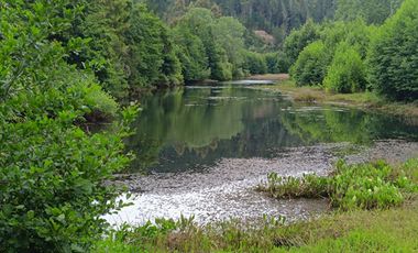 Encanto natural y comodidad en cada rincón