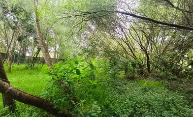 Encanto natural y comodidad en cada rincón