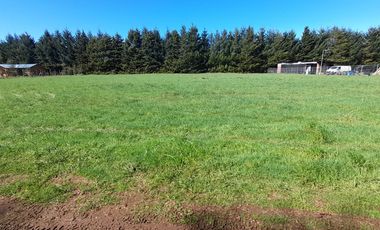 Parcela en Sector Niágara – Comuna de Vilcún