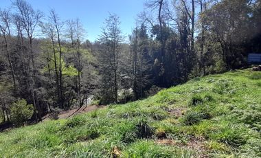 Parcela en Sector Niágara – Comuna de Vilcún