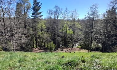 Parcela en Sector Niágara – Comuna de Vilcún